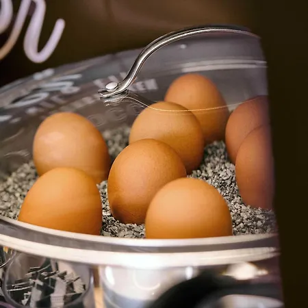 Dresden-messe 3* Дрезден